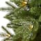 3ft. Pre-Lit Grand Teton Fir Artificial Christmas Tree, Clear LED Lights